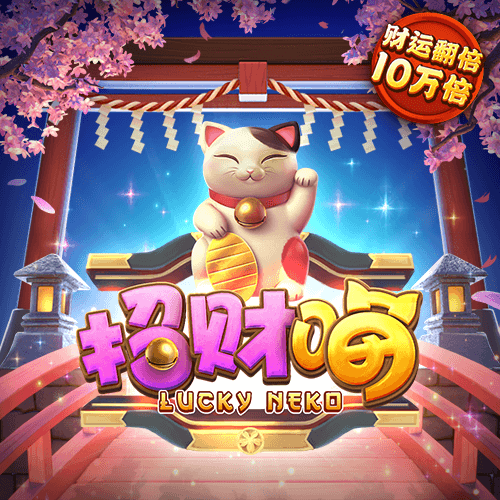 五五世纪平台