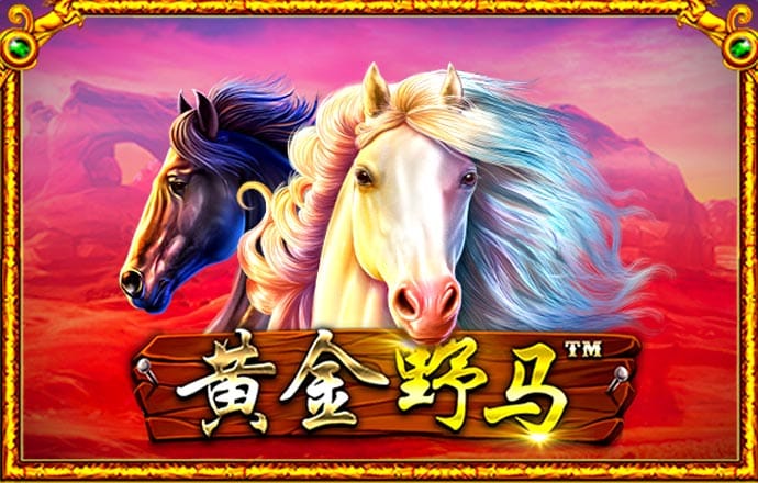 盛世app下载